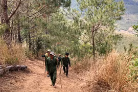 Chư Păh tăng cường bảo vệ rừng dịp Tết