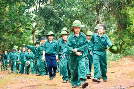 Trải nghiệm học kỳ quân đội