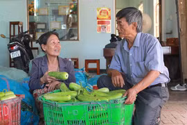 Người tiên phong đưa rau An Khê ra khỏi "ao làng"