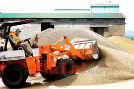 Những tín hiệu lạc quan