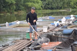 Khởi nghiệp từ sông nước