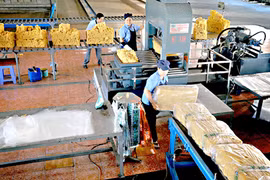 Cấp 23 giấy chứng nhận đầu tư ra nước ngoài cho doanh nghiệp Gia Lai