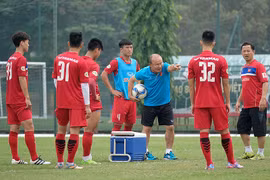 Băn khoăn khi bộ trưởng được đề cử làm chủ tịch VFF
