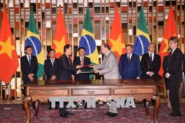 Việt Nam, Brazil thúc đẩy hợp tác đầu tư và thương mại