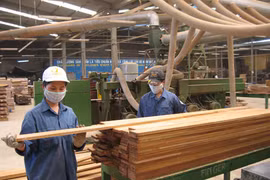 Tập trung tháo gỡ khó khăn cho doanh nghiệp