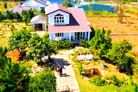 Khoảng xanh mơ ước
