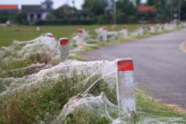 Mỏng mảnh tơ trời