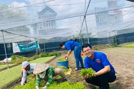 Chàng trai có 'kho' sáng kiến