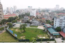 Đất vàng...