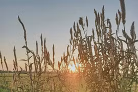 Ký ức vùng đồi