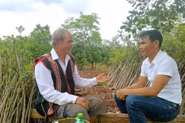 Một thời "bán trú dân nuôi"