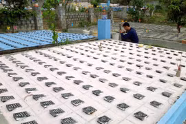 Xây mái ấm cho những "thiên thần"