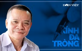 Ngày hòa bình
