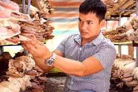 Thành công bằng ý chí