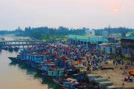 Kỳ thú chuyện biển của lão ngư