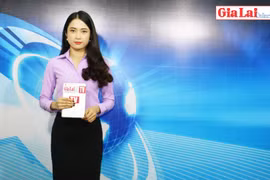 Gia Lai 48h: Hạn hán đe dọa sản xuất ở Gia Lai