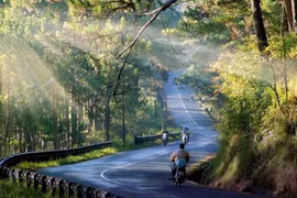 Dốc thương dốc nhớ