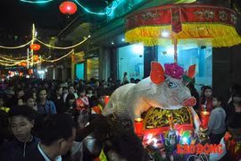 Lạ kì "ông lợn" được mắc màn ngủ, ăn hoa quả