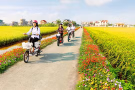 Ban hành các Bộ tiêu chí quốc gia về nông thôn mới giai đoạn 2021-2025