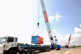2022 là năm 'chủ động thích ứng, phục hồi phát triển'