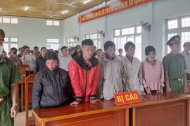 5 bị cáo lĩnh 144 tháng tù vì tội "hủy hoại rừng"