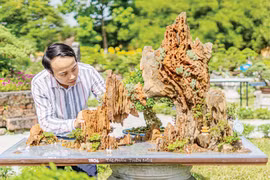 Tiểu cảnh, sân vườn là nghề chơi mê mẩn thế nào mà đến chàng kiến trúc sư trẻ này ở TT-Huế đi theo?