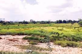 Đất khai hoang bị thu hồi có được đền bù không?