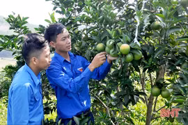 Chàng trai biến sỏi đá thành… cam