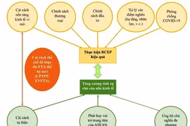 Thực hiện hiệp định Đối tác Kinh tế toàn diện khu vực (RCEP): Cơ hội thu hút đầu tư và nâng tầm doanh nghiệp Việt