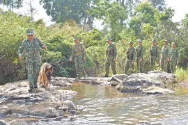 Xuân biên giới