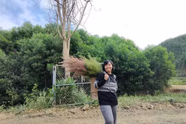 Nữ trưởng phòng khởi nghiệp từ bài thuốc bí mật của người Ê Đê