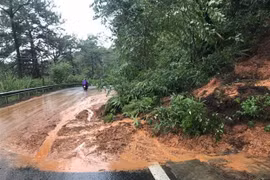 Mưa to trong nhiều giờ gây sạt lở, đổ cây tại thành phố Đà Lạt