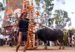 Một đám pơ thi