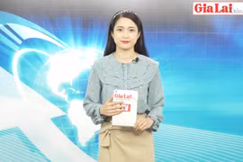 Gia Lai 48h: Tái đàn heo: Chậm nhưng chắc