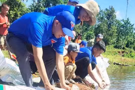 Thanh niên xuống hồ thả cá, chỉnh trang đô thị hưởng ứng ngày môi trường thế giới