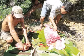 Thịt rừng "tắm" hóa chất