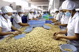 Cổ phần hóa doanh nghiệp nhà nước