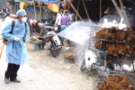 Cục Thú y cảnh báo nguy cơ phát sinh và lây lan dịch cúm gia cầm