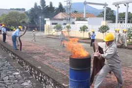 Tạm đình chỉ hoạt động đối với Cửa hàng xăng dầu Hùng Hoa 2