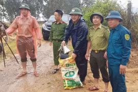 Bảo vệ những đàn chim