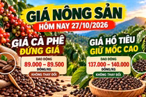 Giá nông sản hôm nay 27/10: Cà phê đứng giá dưới 90.000 đồng/kg