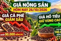 Giá nông sản hôm nay 26/10: Cà phê chịu sức ép mạnh, hồ tiêu giữ vùng giá cao