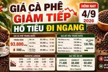 Giá cà phê, hồ tiêu hôm nay 4/9: Cà phê giảm, giá tiêu đi ngang