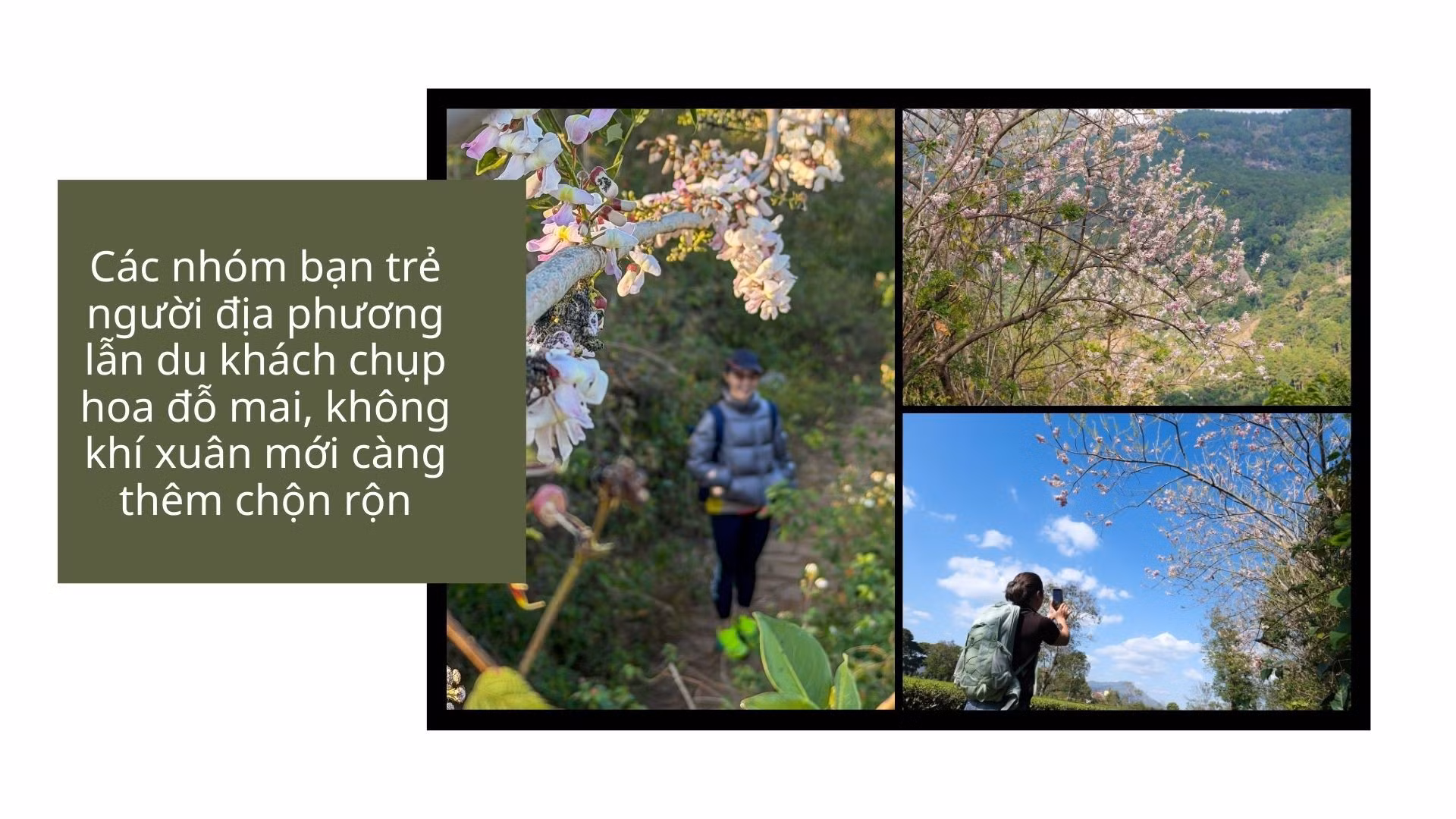 khong-khi-xuan-moi-cang-them-chon-ron.jpg