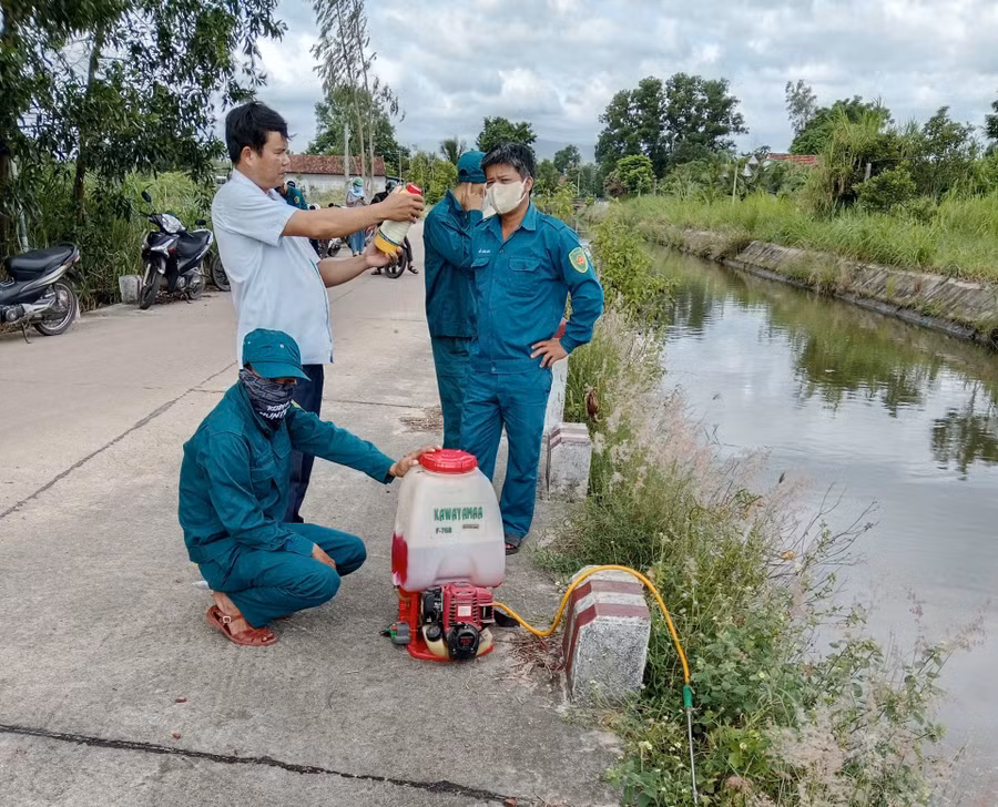 nhung-vi-tri-heo-chet-tap-ket-bua-bai-sau-khi-thu-gom-luc-luong-thu-y-xa-phun-thuoc-tieu-doc-khu-trung-anh-tl.jpg