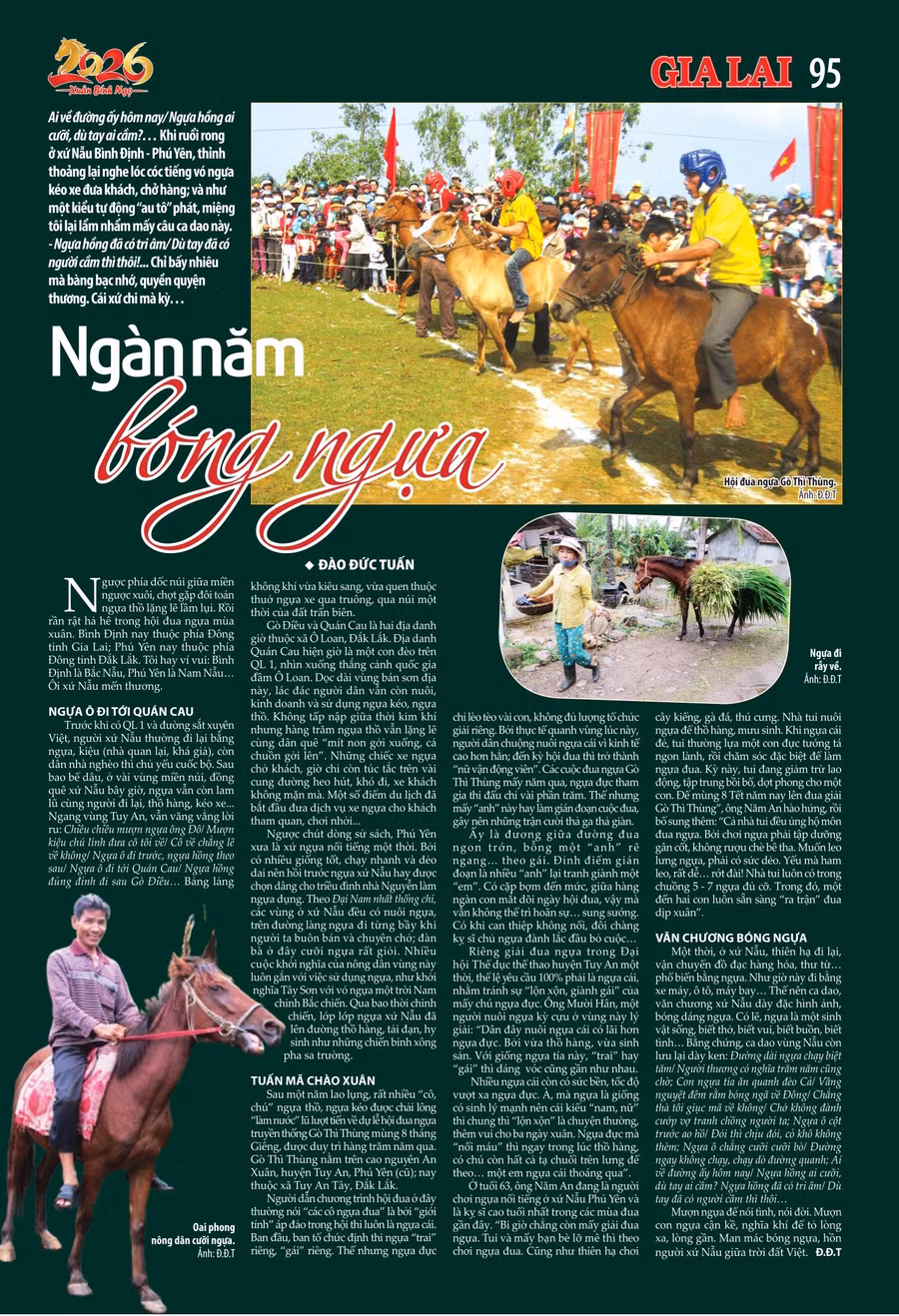 95.jpg