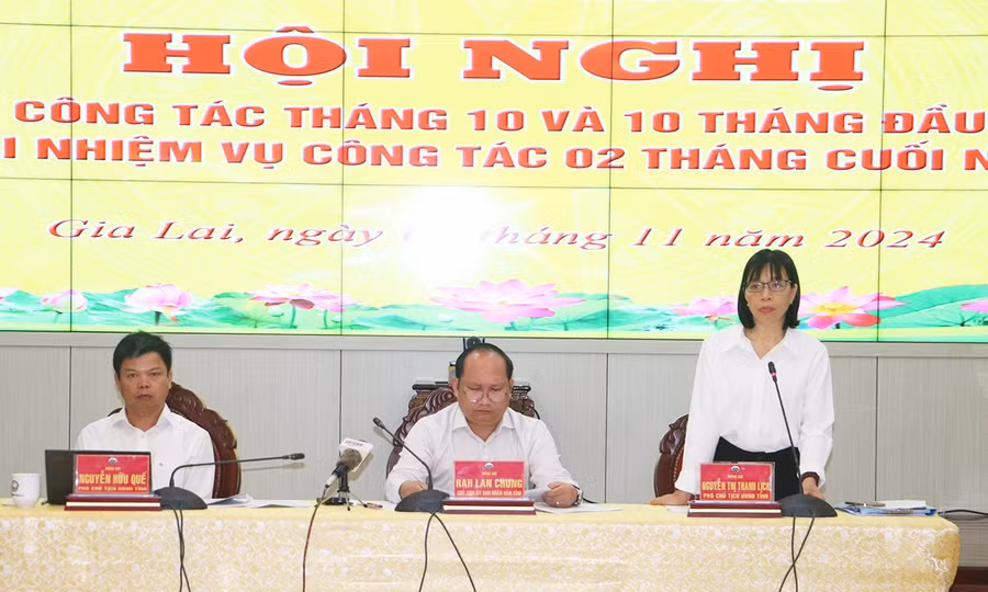2pho-chu-tich-ubnd-tinh-nguyen-thi-thanh-lich-phat-bieu-tai-hoi-nghi.jpg
