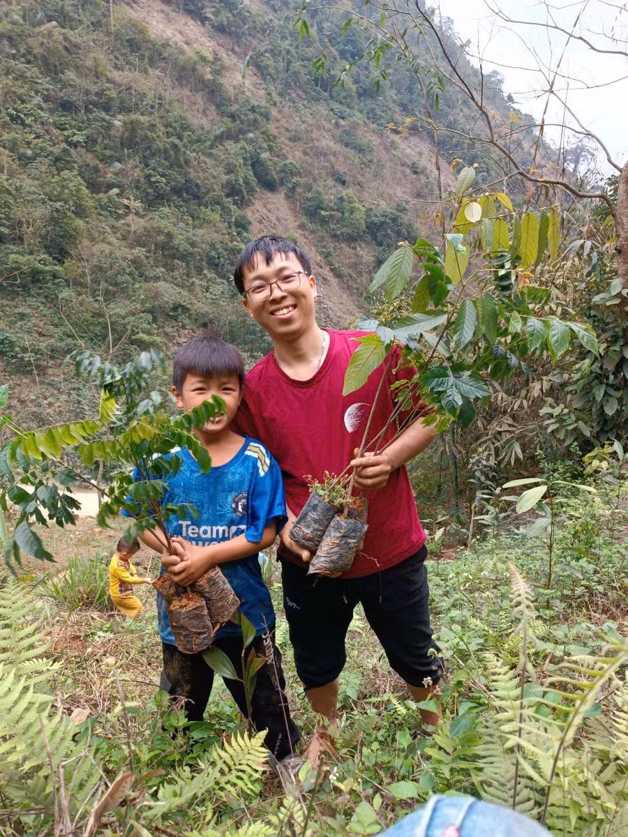 A Cải lựa chọn các loại cây rừng bản địa như lim xanh, lát hoa, chò chỉ, kết hợp với cây dược liệu như chẩu, quế, sa nhân... ẢNH: NVCC