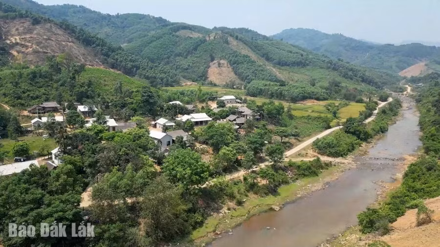phongssu.jpg
