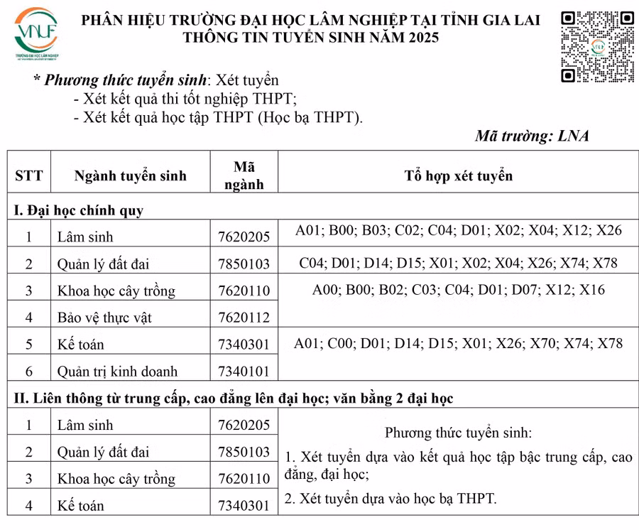bang-tre-dang-bao-gl-qc-1.jpg